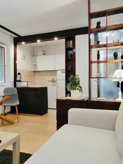 Dorcol Hideaway Apartment Белград Екстериор снимка